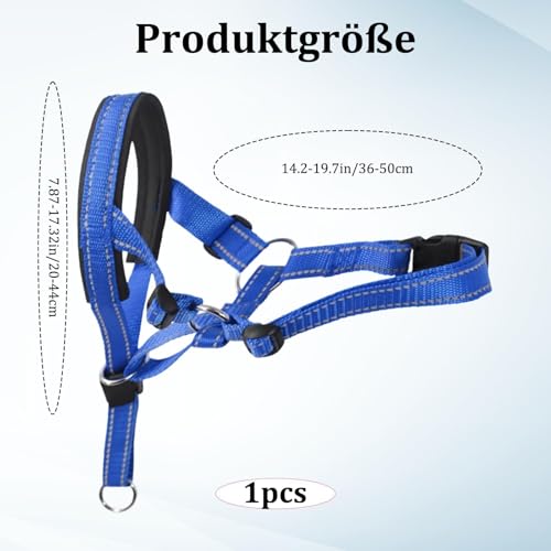 Robustes Anti-Zug-Hundeleine Set – Blaues Hundehalsband für Große Hunde, Langlebiges Trainingszubehör mit Einfacher Anpassung, Leicht & Gepolstert