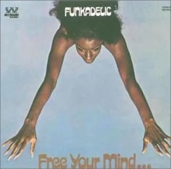 Vinyl Free Your Mind...And Your Ass Will Follow Book