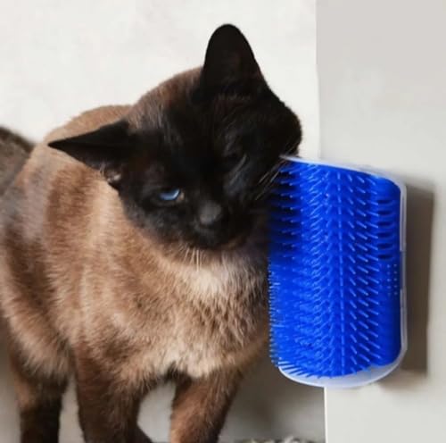 Escovadeira Escova Pet Tira Pelos Gato Catnip Massagem Brinquedo Coçador Parede - 1Care