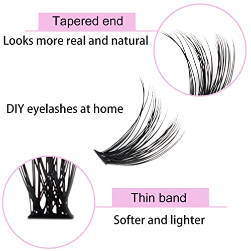 Image of Lash Clusters LAUBESS Individual Lashes Waterproof Eyelash Clusters Mixed Tray Cluster Eyelash Extensions Soft Cluster Lashes for Beginners (40D-D-12)