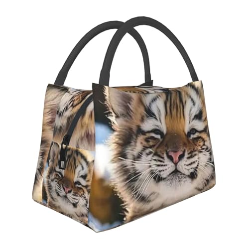 �g���̕� �����`�o�b�O �ٓ��� ��e�� �y�� �ۗ� �ۉ� ���� �ʋ� �ʊw �܂肽���� ��l�p �j���p �����p �q���p