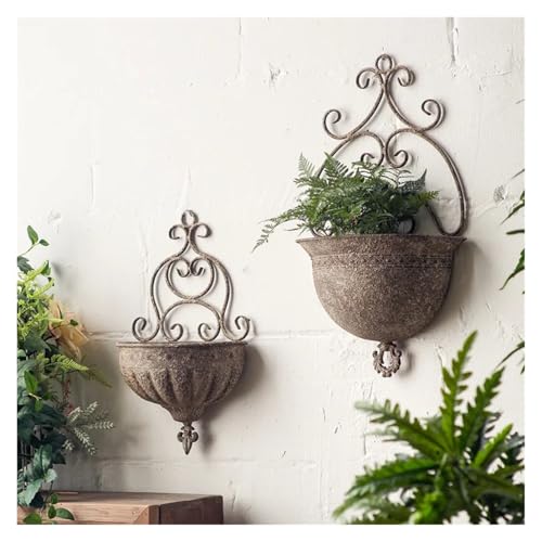 Support suspension plante en fer pour embellir un mur extérieur terne - 4