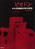 ピカドン -ある原爆被災者の記録-
