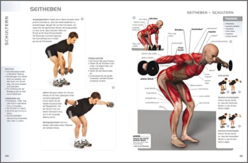 Die Muskelbibel. Aufwärmtraining, Muskelaufbautraining, Kraftausdauertraining, Maximalkrafttraining.