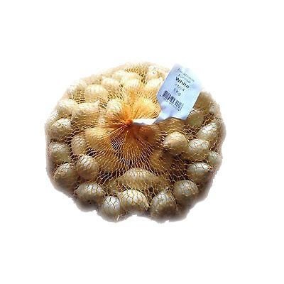 Bulbi di Cipolla Bianca da seme 500g
