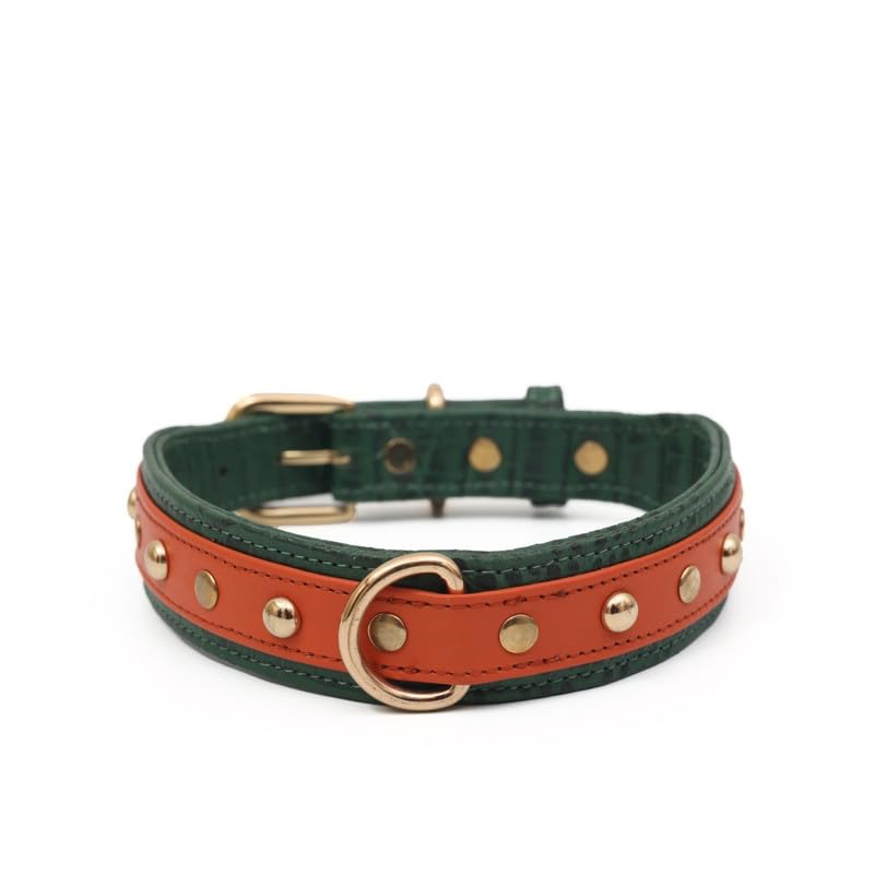 Pampaw Leather The Pongo Collars for Dogs, Cats & Puppies - Soft Durable & Strong (15-25 Inch_Green & Brown) (B0CT2K61SM) Amazon Price History, Amazon Price Tracker