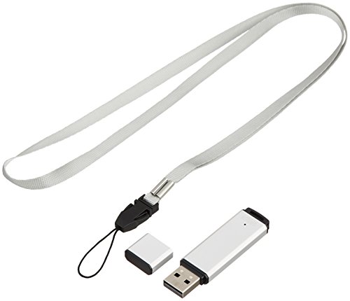 Clé USB 4 Go SANWA SUPPLY UFD-A4G2SVK Argent 2.0 avec capuchon de protection pour PC