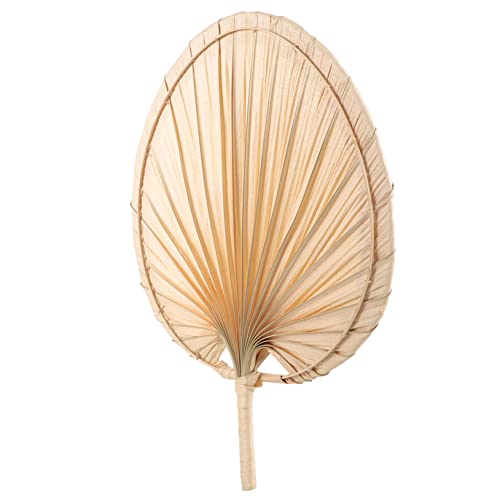 PLAFOPE Abanico de Mano Verano de Palma Natural Abanico Tejida Ligera para Adultos para Fiestas Playa y Decoración