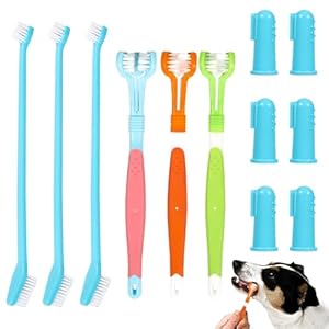 KATIMI 12 Stück Hundezahnbürste Set