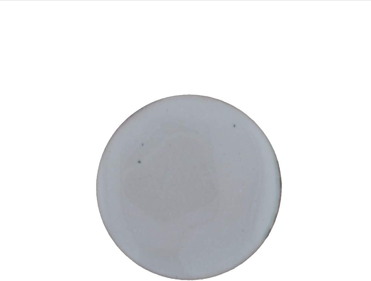 WireJewelry 1020 Titanium White Thompson Opaque Enamel - 8 Ounce