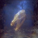 zumnorde köln  Cruel Love (feat. shYbeast & FRANK ZUMMO)