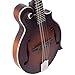 The Loar LM-310F-BRB Honey Creek F-Style Mandolin