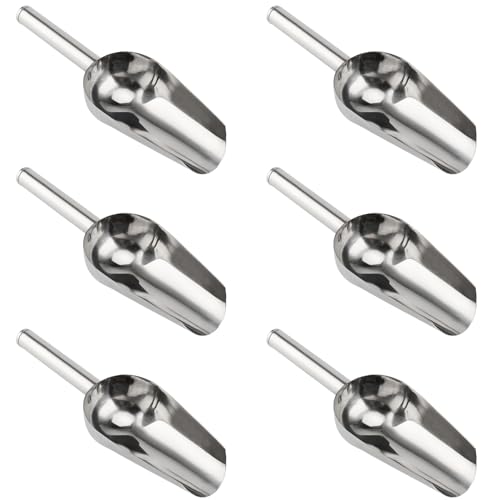 YIXNSW Lot de 6 Pelle à glace, cuillère en acier inoxydable pour machine à glaçons, polyvalente pour bonbons, cuisine, bar, fête, mariage, nourriture pour chien, pelle de plage, Argent