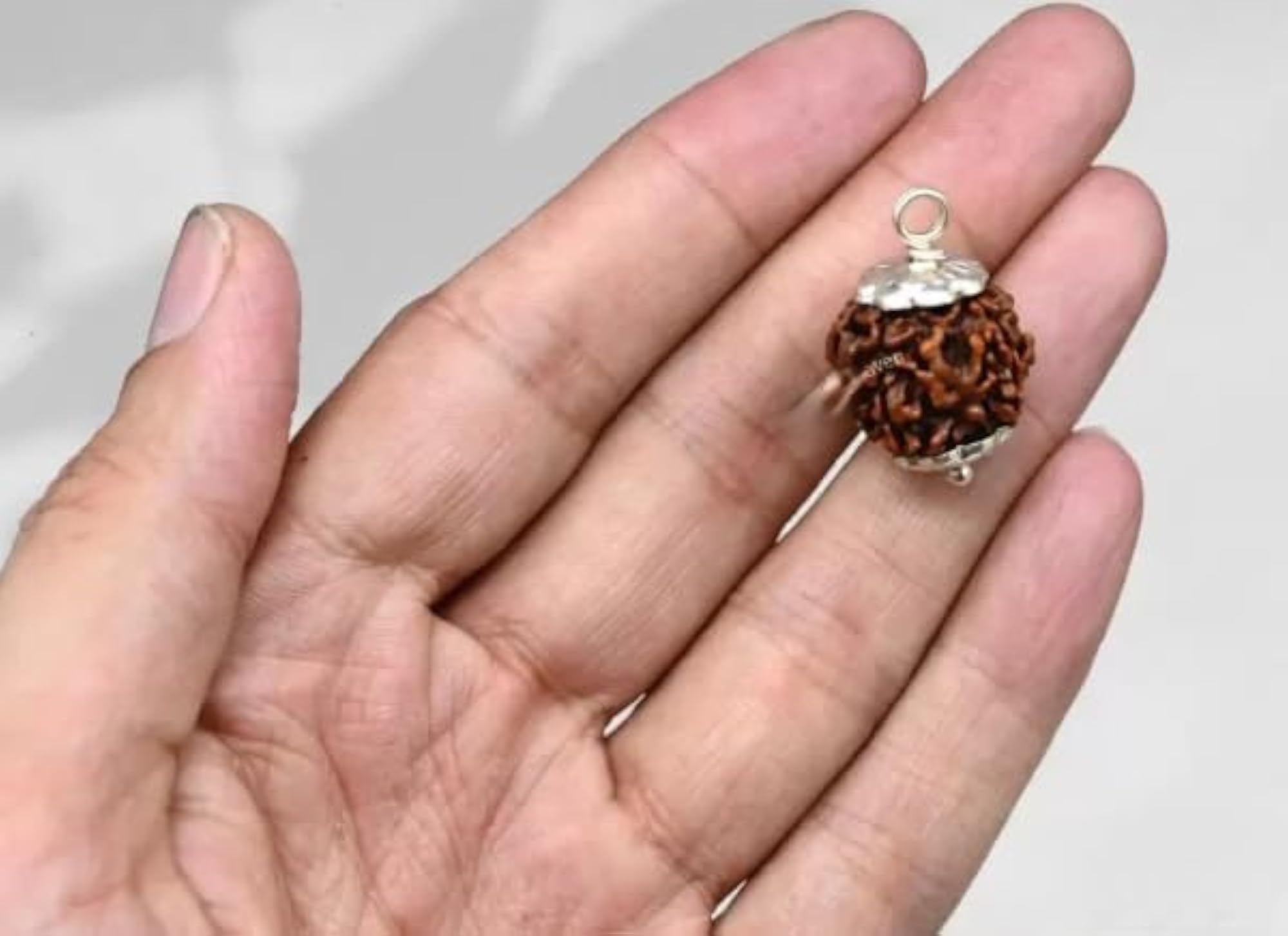 Pure Char Mukhi Rudraksha Bead, Certified
