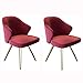 JFIA65A Krzesło do jadalni Nowoczesne Krzesło Jadalni Zestaw 2 Krzesło Kuchenne Metalowymi Nogami Aksamitne Siedzisko Oparcia Do Biura Jadalnia Kuchnia Sypialnia (Color : Red)