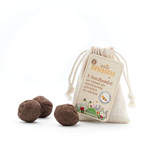 Die Stadtgärtner – Seedbombs „Bienenwohl“ I 3 handgemachte Samenbomben mit bienenfreundlichem Saatgut I 100% ökologisch & mindestens 2 Jahre haltbar