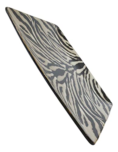 Ebros Animal Wildlife Jungle Forest Apex Predator Giant Cat Tiger Prints Abstract Art Large Square Dinner Plate Set Of 2 10.75" Plates Dishwasher Microwave Safe Dinnerware Dishes #TOP3