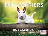 Bull Terrier Calendar 2025 Monthly Wall Calender 12 Month | American Made In The USA