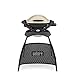 Produktbild Weber Q1000 Gasgrill 43 x 32 cm mit Ständer Titan (50060374)
