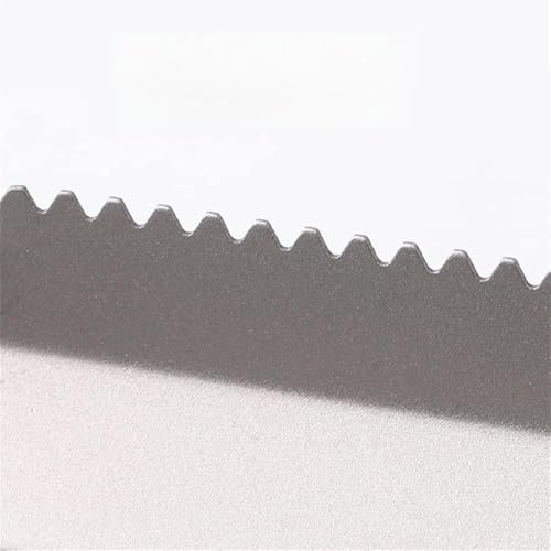 ERYUE O`^K[fVxyʋ󂱂ăLvnCLOobNpbLOc[Nbvt