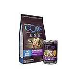 Wellness CORE