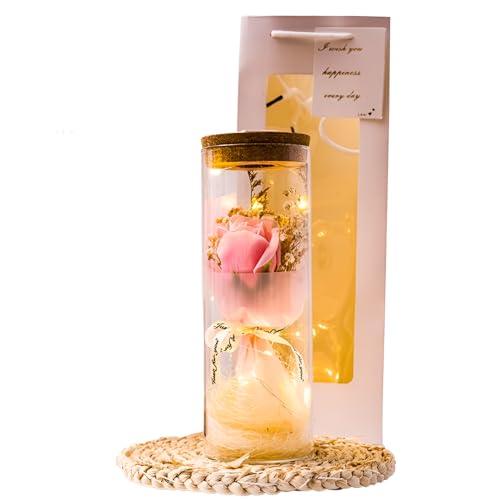 [Caividom]vU[uht[  {  ̂悤 ͂Ȃ  ybg t[ AWg  TCY RpNg 㕧d CG[  Q   茳{  {iI  El  KX h[