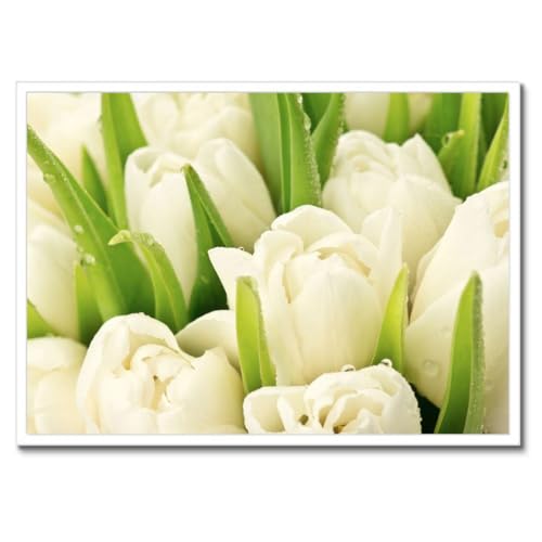 Poster tulipes avec cadre noir 70 x 50 cm déco murale haute définition