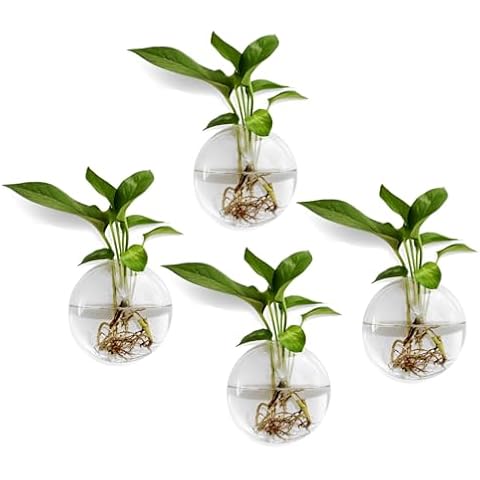 4 Pack of Glass Wall Hanging Planters Glass Terrariums Indoor Glass Planter Containers Wall Mounted Glass Vases Oblate Hanging Propagation Station Cover