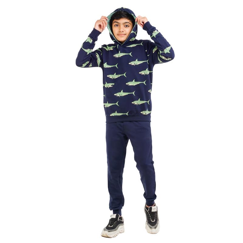Image of Real Basics Boys Cotton Hooded Sweatshirt(Pack of 1)
