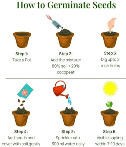 Image of RootNrise Hybrid Flower Seed Collection, Multiple Varieties, Home Garden Growing Kit, with Free Organic Plant Food Stick