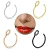 Fake Nose Ring Hoop Set,Faux Piercing Jewelry 20G 8mm Fake Nose Ring Hoop for Faux Lip Septum Nose Ring Set (4PCS Set-Silver/Gold/Black/Rose)