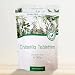 Produktbild VivaNutria Chlorella Presslinge 500g | aus kontrolliertem Anbau I 2000 Chlorella Tabletten ohne Zusätze - rein & natürlich I schonend verarbeitet | Rohkostqualität I vegan