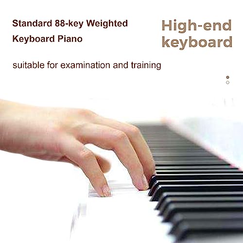 Piano numérique 88 touches avec support Triple pédale Touches sensibles au toucher Clavier électronique portable Support de piano Bluetooth MIDI for débutants Adultes Enfants (Color : White) - Les Beatles, Paul McCartney, John Lennon, RIngo Starr, George Harrison Piano numérique 88 touches avec support Triple pédale Touches sensibles au toucher Clavier électronique portable Support de piano Bluetooth MIDI for débutants Adultes Enfants (Color : White) – Image 3