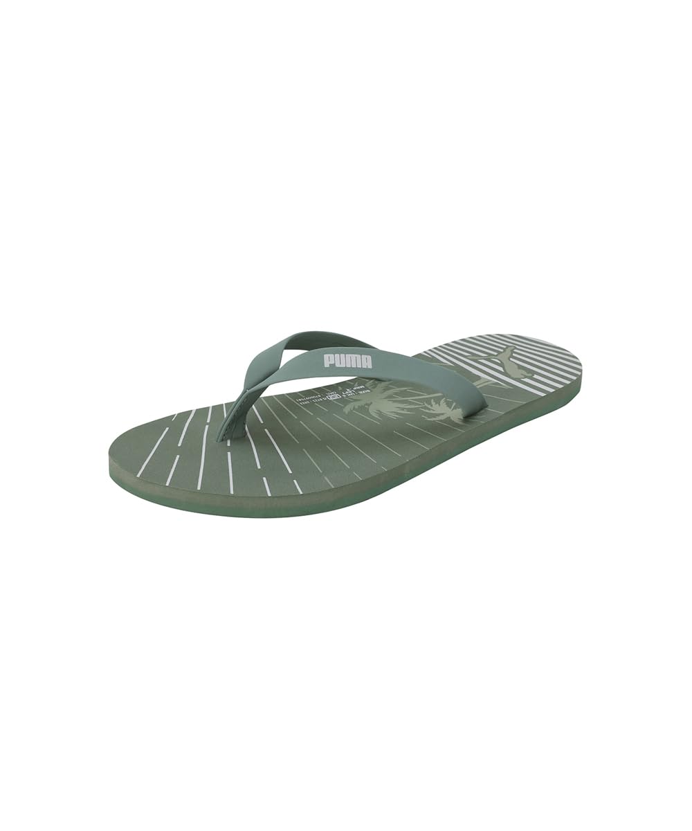 Buy Puma Womens Flame Wns V3 Eucalyptus-Green Fog-Silver Mist