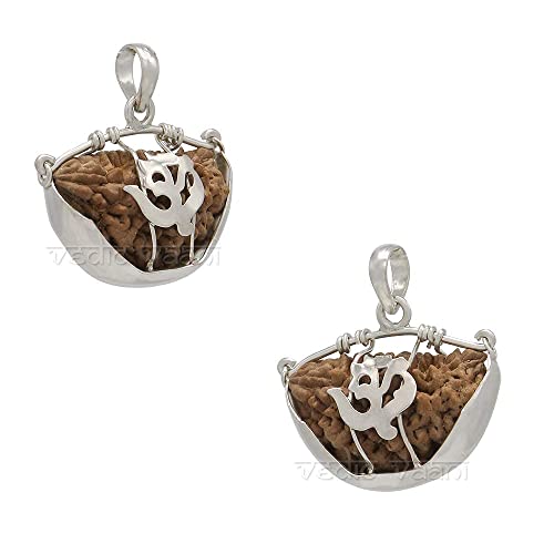 Vedic Vaani Natural Original 1-Face Ek Mukhi Rudraksh With Lab Certified Rudraksha In Sterling Silver Pendant Locket (1 Pcs) #TOP2