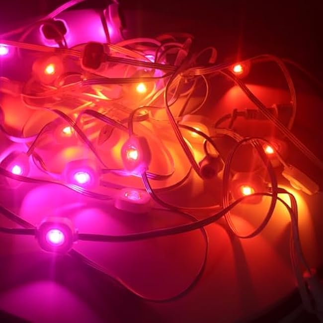 REXTiN Permanent Outdoor Lights 100ft: Smart RGB + IC Eaves Lights IP65 Waterproof for House Party Garden Daily - Compatible with Alexa Google Assistant