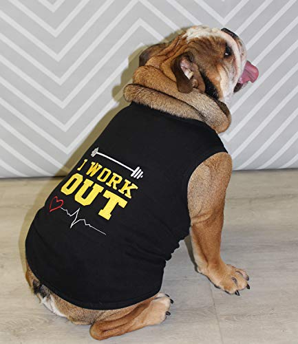 Parisian Pet Funny Cute Dog Cat Pet Shirts Caution Can't Control My Licker, I Work Out, Little Monster, Wtf, Bff, Bling $, Got Treats, Babe Magnet, Little Miss Attitude (I Work Out, Xl) #TOP6
