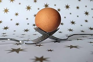 Home Comforts Nutrition Cutlery Egg Origin Of Life Food Fork-20 Inch By 30 Inch Laminated Poster With Bright Colors And Vivid Imagery-Fits Perfectly In Many Attractive Frames