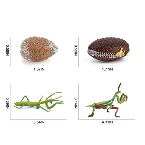 Fantarea 4 Pcs Realistic Insect Mantis Animal Life Cycle Model Figure Figurines Ornament Cake Toppers Party Favors Supplies Desktop Decoration Cognitive Toy For Boys Girls Kid 5 6 7 8 Years Old #TOP4
