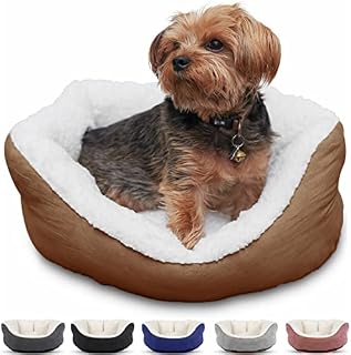 Small Dog Bed Cat Bed (51cm x 44cm) Ultra Soft Sherpa Pet Bed. Premium Calming Mattress Cushion For Small Size Pets (Dog, Cat, Rabbit, Puppy). Faux Suede Ext. Machine Wash & Dryer Friendly.(Chocolate)