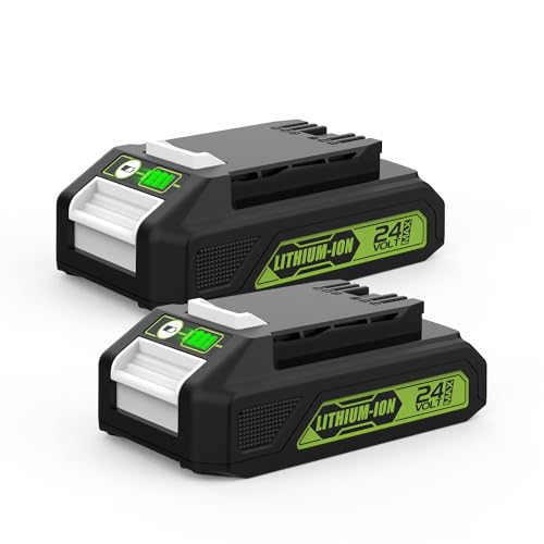 Energup 2pcs 24V 3000mAh Replacement Batteries for Greenworks 24V Batteries G24B2 G24B4 29842 for Greenworks 24V All Tools