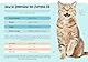 Cat-in-The-Bag Cozy Comfort Transporttasche für Katzen, geräumig, Grün und Tragetasche für Katzen für Fellpflege, Tierarztbesuche, Medikamentenverabreichung, Zahnpflege und Nageltrimmen