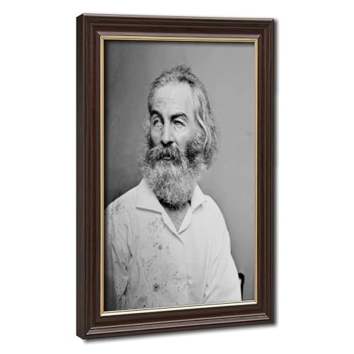 Toile Walt Whitman déco murale bureau cadre suspendu tissu imprimé