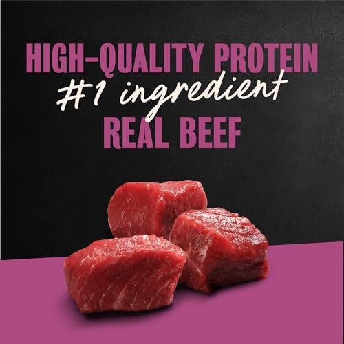Image of Cesar Classic Loaf Wet Dog Food, Porterhouse Steak, 3.5 oz, 24 Count | Made in USA, Real beef #1 ingredient, slow-cooked tender texture, easy peel trays, no fillers /added sugar /artificial flavor