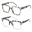 Grey Tortoise,tortoise Transparent