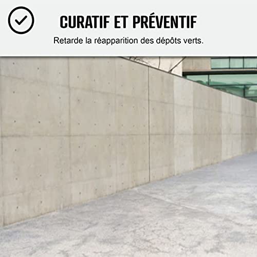 ANTI-MOUSSE ULTRA CONCENTRÉ : Fongicide anti dépôt vert toiture, mur, façade, terrasse, élimine algues et lichens - - 1 L (jusqu'à 250 m²) - ARCANE INDUSTRIES