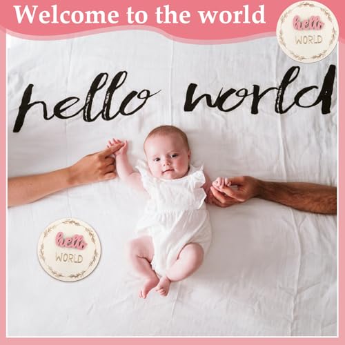 Image of 7 Pcs Months Baby Milestone Signs, 3D Pink Baby Monthly Milestone Cards Milestone Wooden Circles for Newborn Boy Girl 1-12 Months Baby Milestone Pictures (Double Sided)
