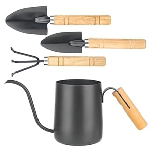 XTDMJ 350 ml zwarte gieter kleine kamerplanten met 3 tuingereedschap, mini-gieter van roestvrij staal, lange uitloop, gieter voor kamerplanten, vetplanten