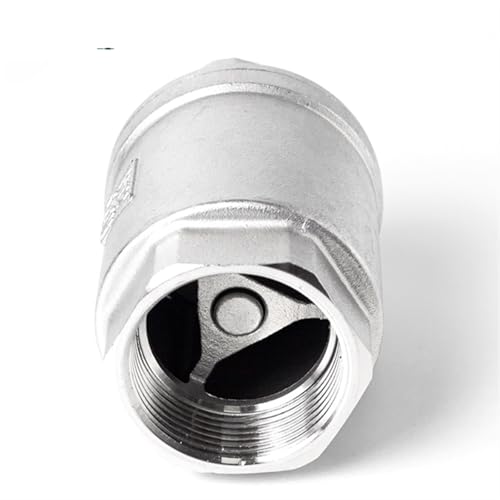 Pompe à eau sans désamorçage grâce au clapet anti-retour vertical inox