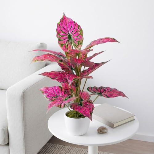 Image of Dekorly Fake Plants Artificial Floor Plants Large Tropical Palm Tree Tall Monstera in Pot for Indoor Outdoor Home. (Dark Veins Pink Caladium | White Pot, Pack of One)